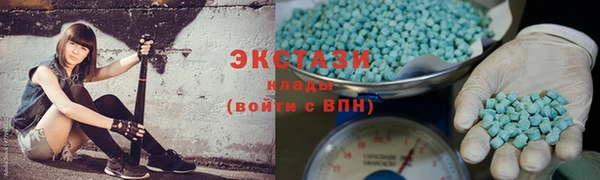 шишки Гусиноозёрск