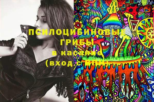 винт Тында