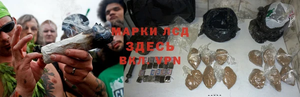 ECSTASY Майский
