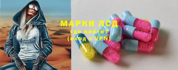 шишки Гусиноозёрск