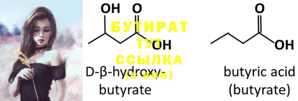 шишки Гусиноозёрск