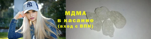 шишки Гусиноозёрск