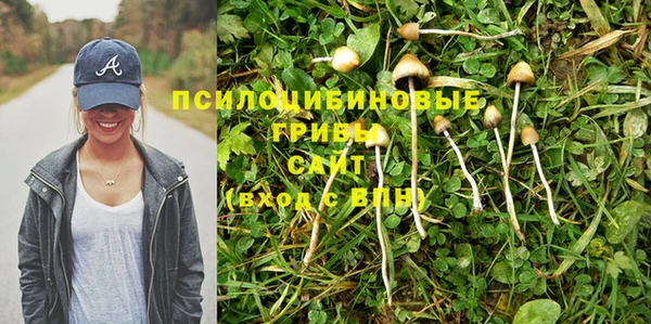 mix Гусь-Хрустальный