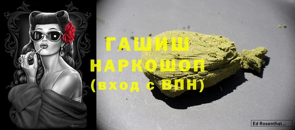 шишки Гусиноозёрск