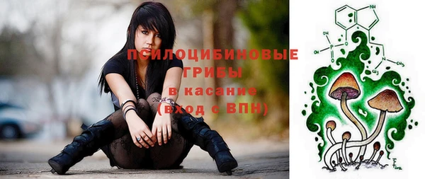 шишки Гусиноозёрск