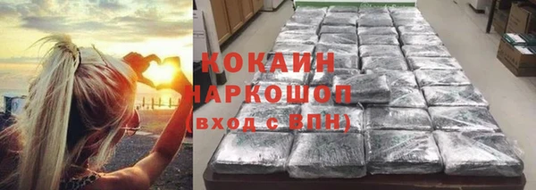 шишки Гусиноозёрск