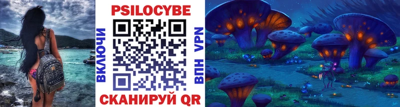Псилоцибиновые грибы Psilocybe  мега tor  Можга 