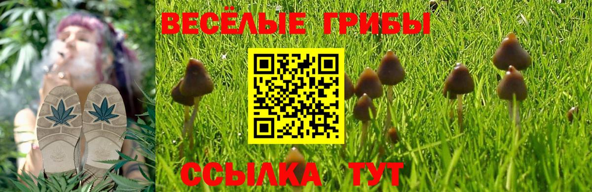 Псилоцибиновые грибы прущие грибы Можга