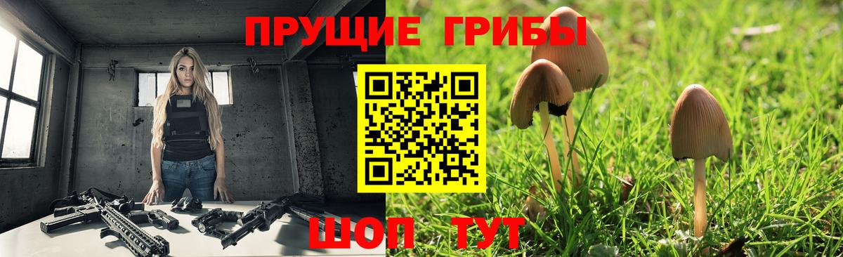 Псилоцибиновые грибы мухоморы  закладка  Можга  Вход с VPN 