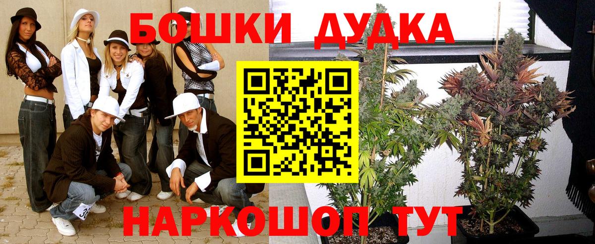 Бошки Шишки индика Можга