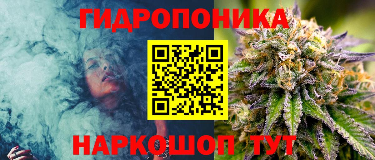 Канабис Ganja  Бошки марихуана Bruce Banner  Можга  Канабис SATIVA & INDICA  Шишки марихуана Bruce Banner 